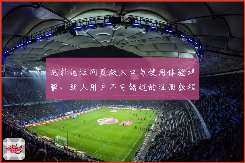 虎扑论坛网页版入口与使用体验详解,新人用户不可错过的注册教程
