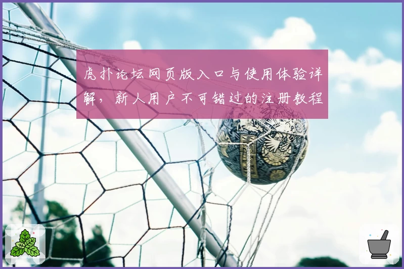 虎扑论坛网页版入口与使用体验详解,新人用户不可错过的注册教程